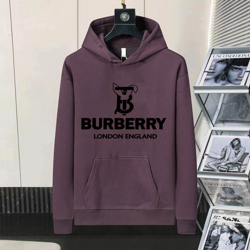 Burberry Hoodie Mens ID:20241022-133